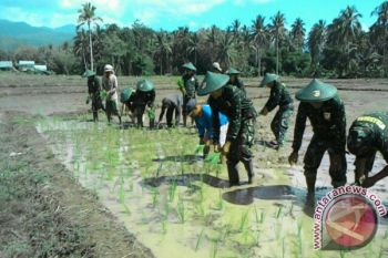 Pembukaan sawah baru menanti MoU