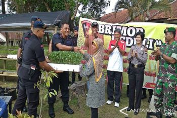 Brimob Polda Jateng Bantu Bibit Cabai Masyarakat Boyolali 