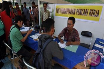 54 Perusahaan Penyedia Jasa Pekerja Di Sulteng 