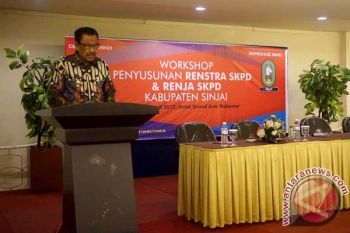 Sinjai Workshop Penyusunan Renstra dan Renja OPD 