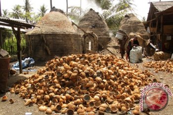 Produksi Arang Terkendala Modal
