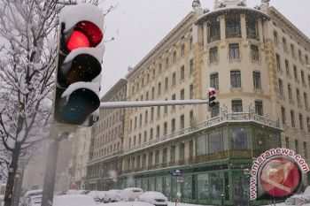 Partai ekstrem kanan menangi pemilu Austria