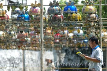 Lomba Burung Perkutut