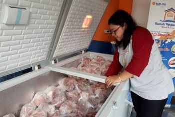 Bulog Surakarta gelontorkan 100 daging kerbau beku