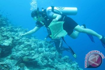 Otoritas Komodo larang penangkapan ikan di area selam