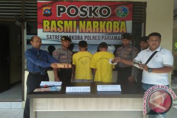 Polisi Pariaman Tangkap Tenaga Honorer Menjual Ganja