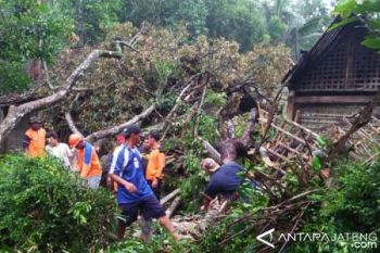 Angin Kencang Terjang 3 Rumah Warga