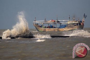 Sawu Sea to be developed into whale attraction tourism