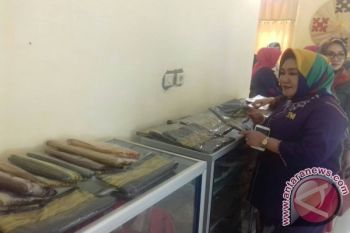 Anggota DPR Minta Konawe Kembangkan Kualitas Tenun 