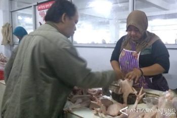 Naik Lagi, Harga Daging Ayam di Purwokerto