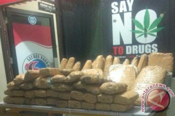 Polisi Amankan Otak Pengiriman 72 Kilogram Ganja