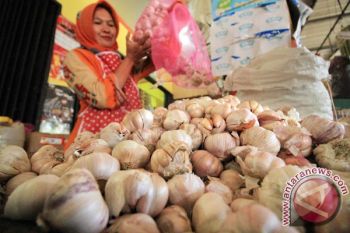 Government issues regulation on garlic import