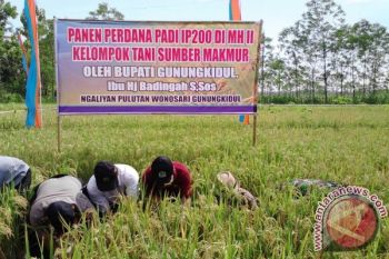 Pemkab dorong masyarakat berinovasi di bidang pertanian 