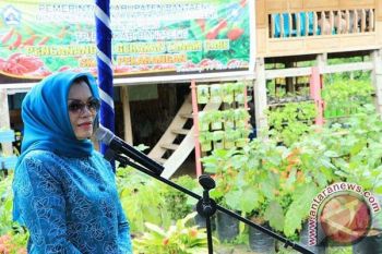 DKP Bantaeng Canangkan Gerakan Tanam Cabai