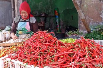 Stok Melimpah, Harga Cabai di Solo Turun
