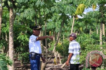 BPPIT Palangka Raya Segera Kembangkan Taman Sains