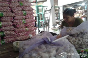 Harga Bawang Putih di Kudus Mulai Turun