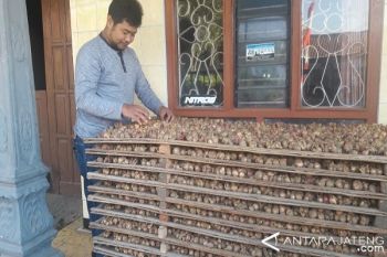 Harga Bawang Merah di Temanggung Turun 