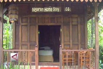 Hambat Sektor Pariwisata, Wacana Pajak "Homestay" Diminta Dikaji Ulang 