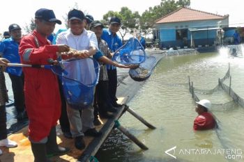 Udang Putih Berpotensi Jadi Produk Unggulan