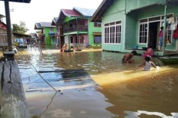 Waduh! Banjir di Barito Utara Meluas