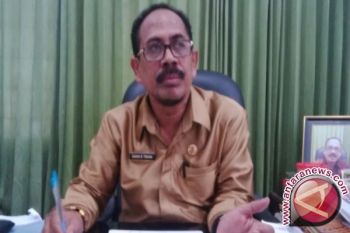 Harga Bawang Putih Berangsur Stabil