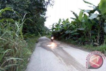 Eddy Raya Janji Perbaiki Jalan Jelapat - Desa Baru 2018