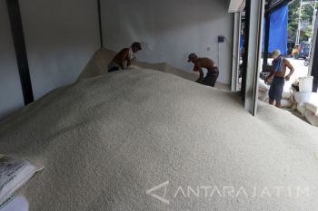 Harga Beras Turun