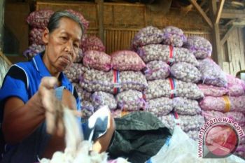 Bulog Datangkan Sembilan ton Bawang dari Jatim 
