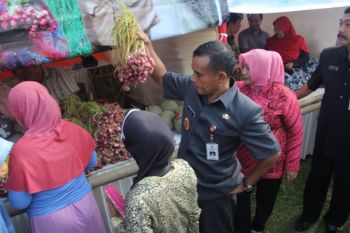 Purbalingga Kembangkan Budidaya Bawang Merah 