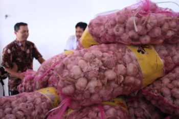 Masyarakat Sampit Antusias Bulog Jual Bawang Putih Murah