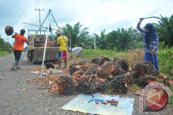 GAPKI Cabut Uji Materi UU PPLH