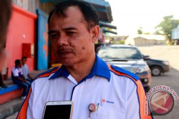 Bulog Turunkan Harga Jual Bawang Putih