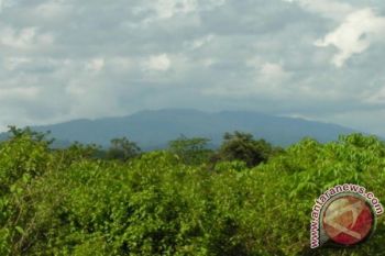 Pemkab Barut Gelar Konsultasi Publik Terkait Gunung Lumut Jadi Taman Nasional
