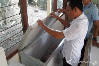 Jelang Lebaran, Bulog Kedu Siapkan Ratusan Kilogram Daging Beku 