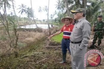 Pemkab Dinilai Berhasil Laksanakan Upsus Percepatan Pertanian