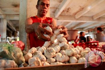 14 Ton Bawang Putih Sudah Tiba 