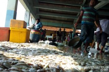 Stok Ikan TPI Pekalongan Diperkirakan Melimpah Lagi