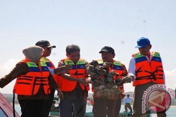 Vietnam Hasilkan Rp40 Triliun dari Lobster Indonesia 