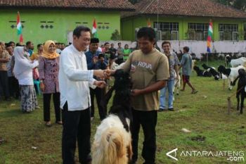 Pemkab Serahkan Bantuan Kambing Untuk 61 Warga - (d)