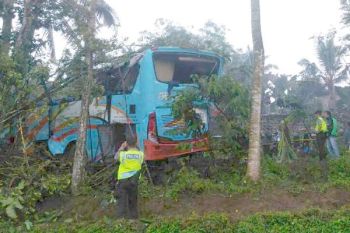 Bus Rosalia yang Masuk Jurang Dievakuasi