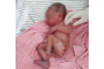 Saat Cari Jamur, 2 Warga Kotim Temukan Bayi di Kebun Sawit