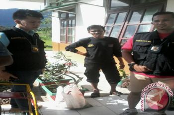 Ratusan Ikan Mati di Batang Alin, Belum Ditemukan Penyebabnya