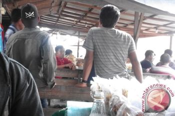 Jalan Trans Kalimantan Palangka Raya-Buntok Ramai Pemudik 