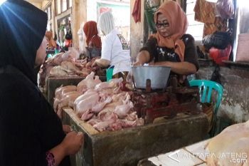 H+7 Lebaran, Harga Daging di Temanggung Bertahan Tinggi 