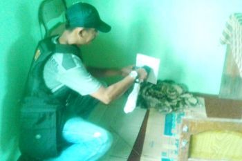 Ini Permintaan Bupati Pulpis Berkaitan Ledakan Keras di MTs Al Mujahidin