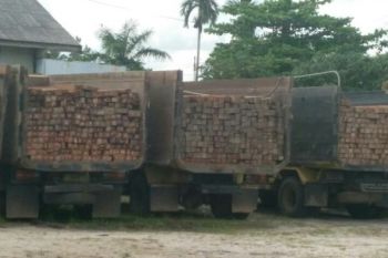 Penyelundup kayu ilegal diburu Polres Kotim