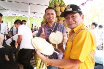 Banjarnegara Gelar Festival Durian 2017