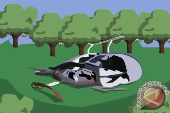 Mantan Presiden Chile Pinera tewas dalam insiden helikopter