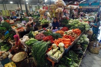 Harga bahan pokok di Waykanan naik